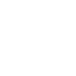Carrito