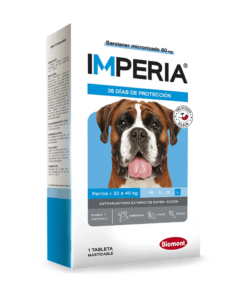 Imperia de 20 a 40 Kg