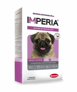Imperia de 5 a 10 Kg